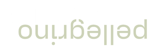 annelise_pellegrino_logo